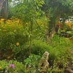 Marko Apartament Novi Vinodolski